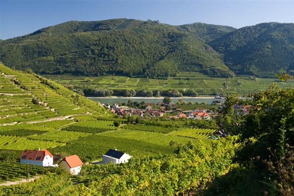 joyas-vitivinicolas-la-region-de-baja-austria-6278-1
